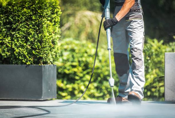 Best Roof Washing  in Arcadia, WI